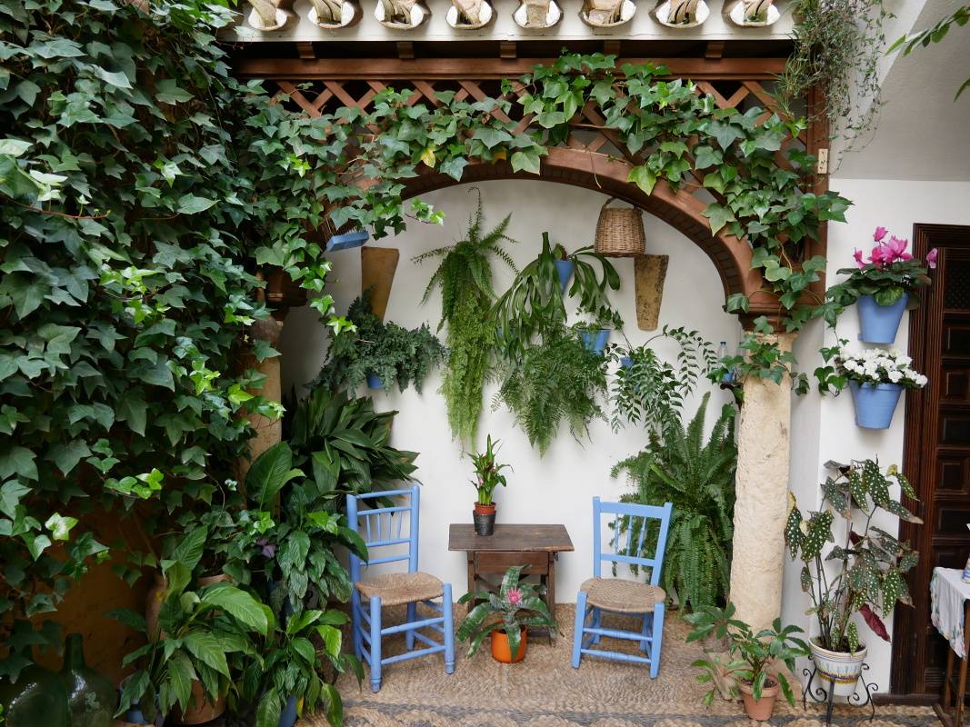 Patio naviac ...