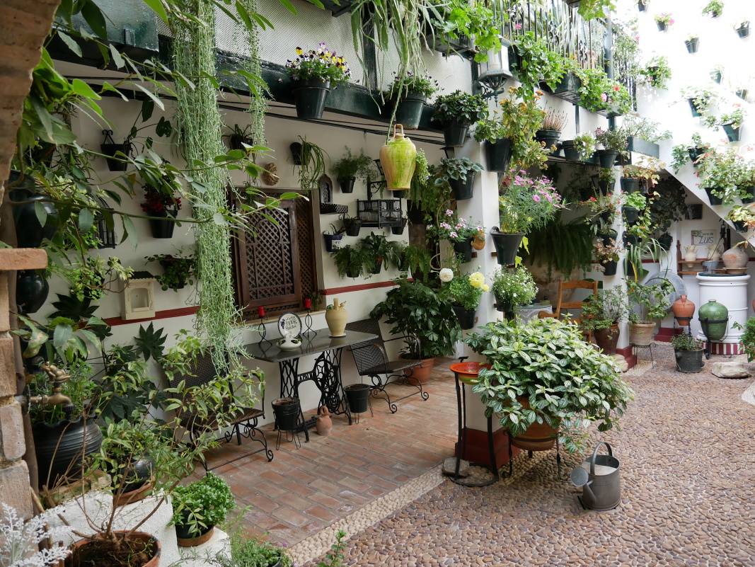 Štvrté patio