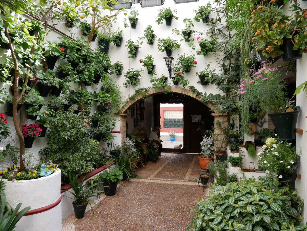 Štvrté patio