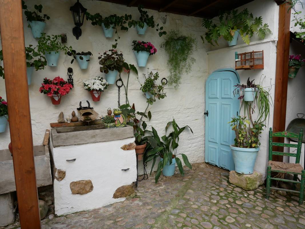 Piate patio
