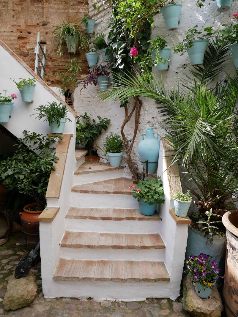 Piate patio