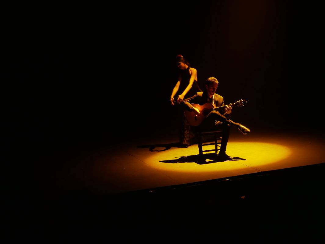 Teatro Pathé - Flamngo Show