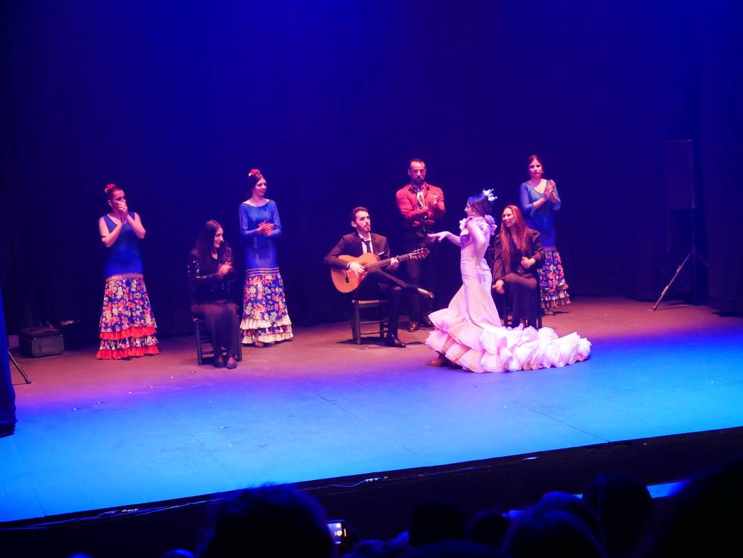 Teatro Pathé - Flamngo Show