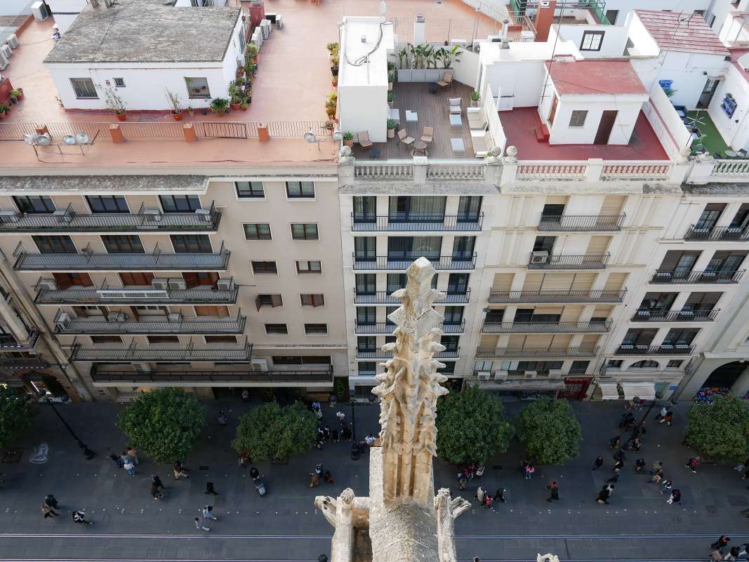 Avenida de la Constitucion pod nami