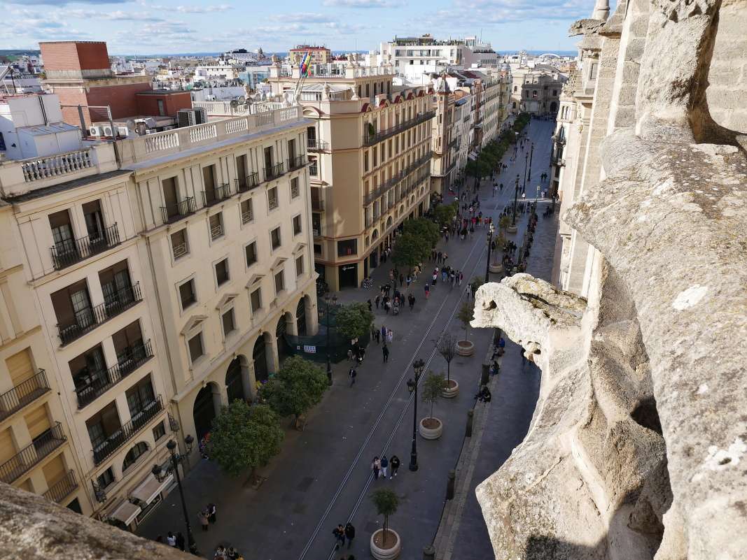 Avenida de la Constitucion pod nami