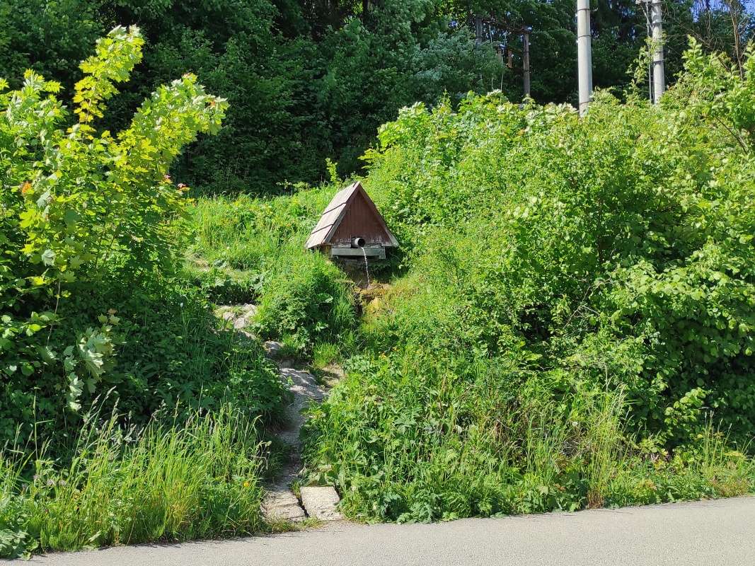 Studnička