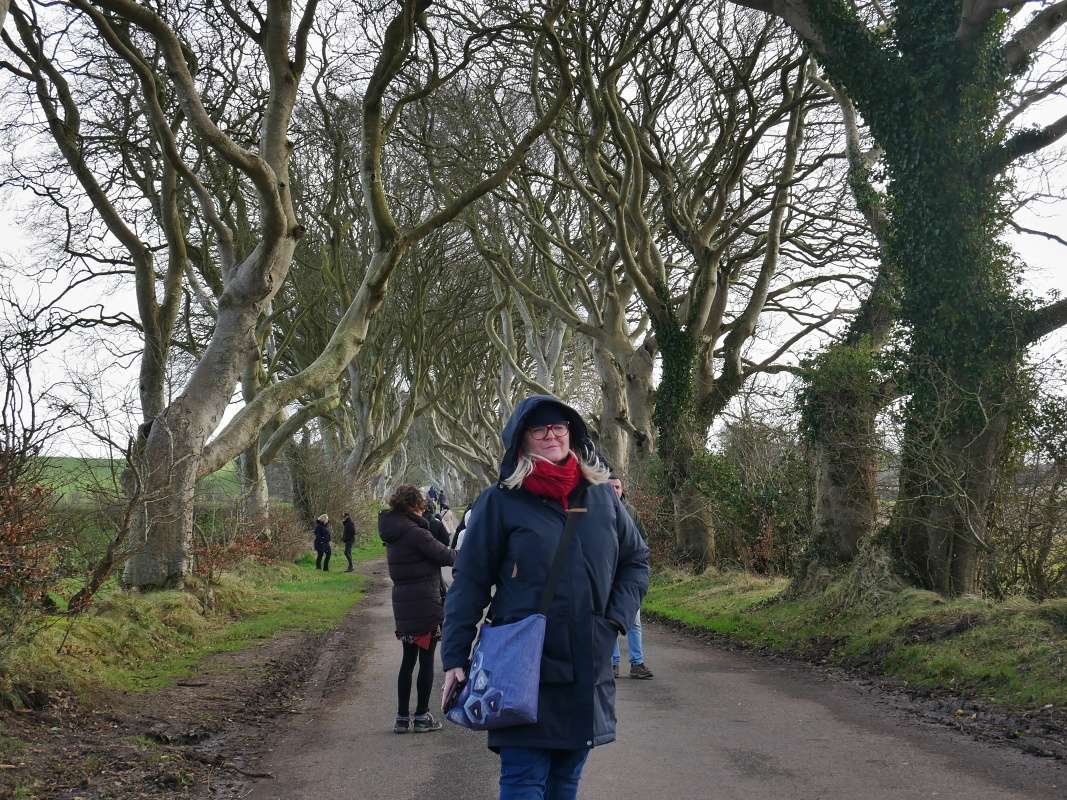 Dark Hedges