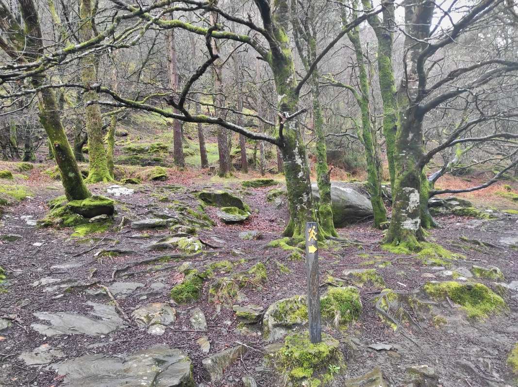 Glendalough - ideme ku kláštorom