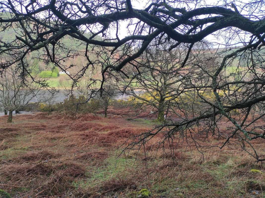 Glendalough - Dolné jazero