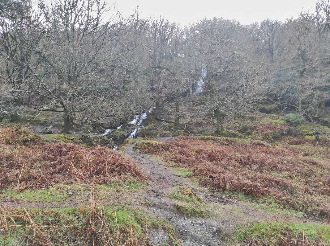 Glendalough - z kopcov steká voda v malých vovopádoch