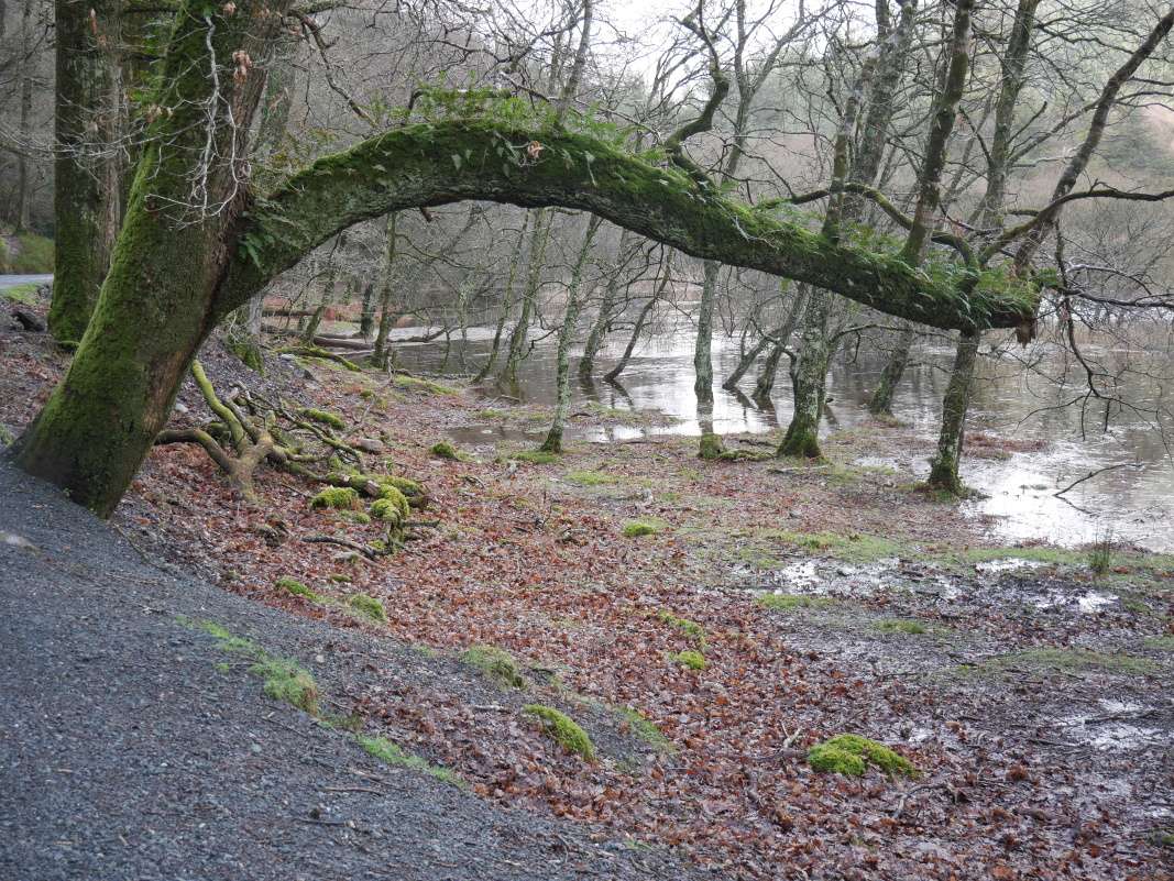 Glendalough - Dolné jazero