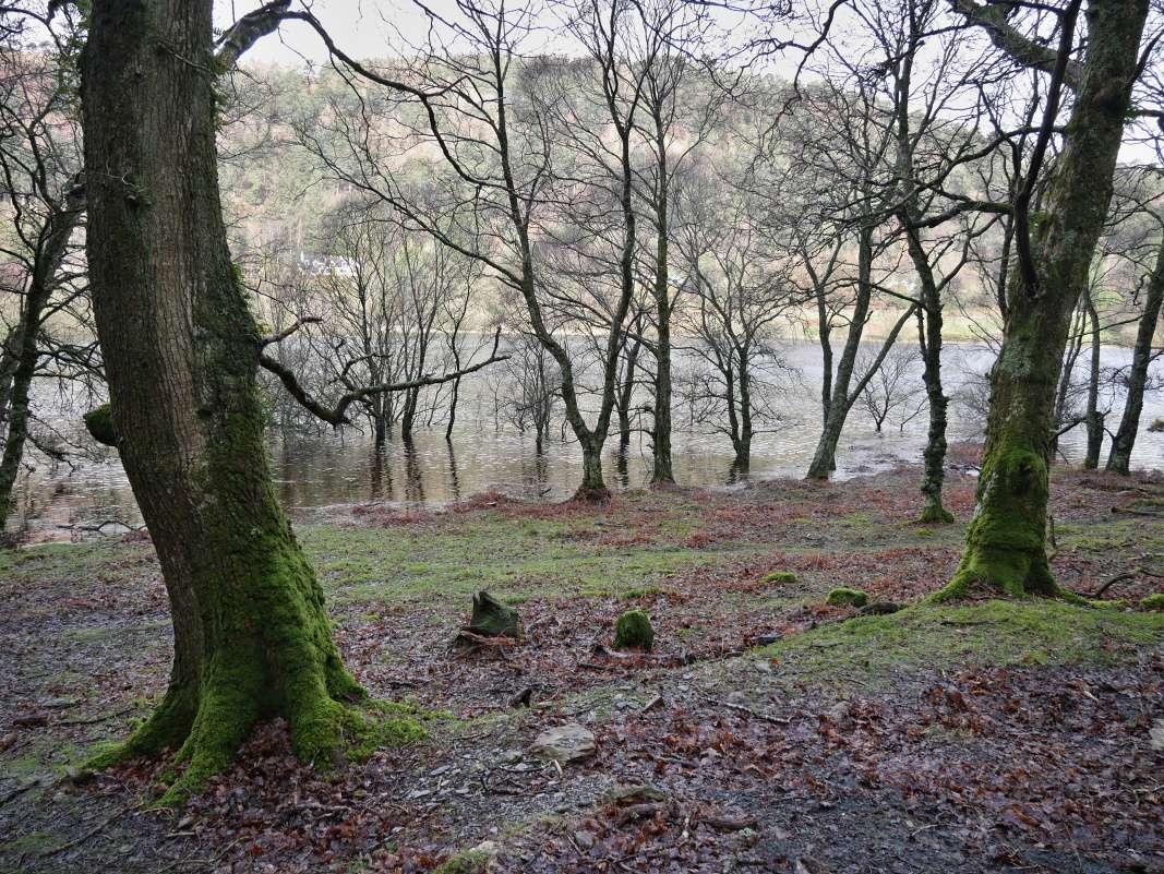 Glendalough - Dolné jazero