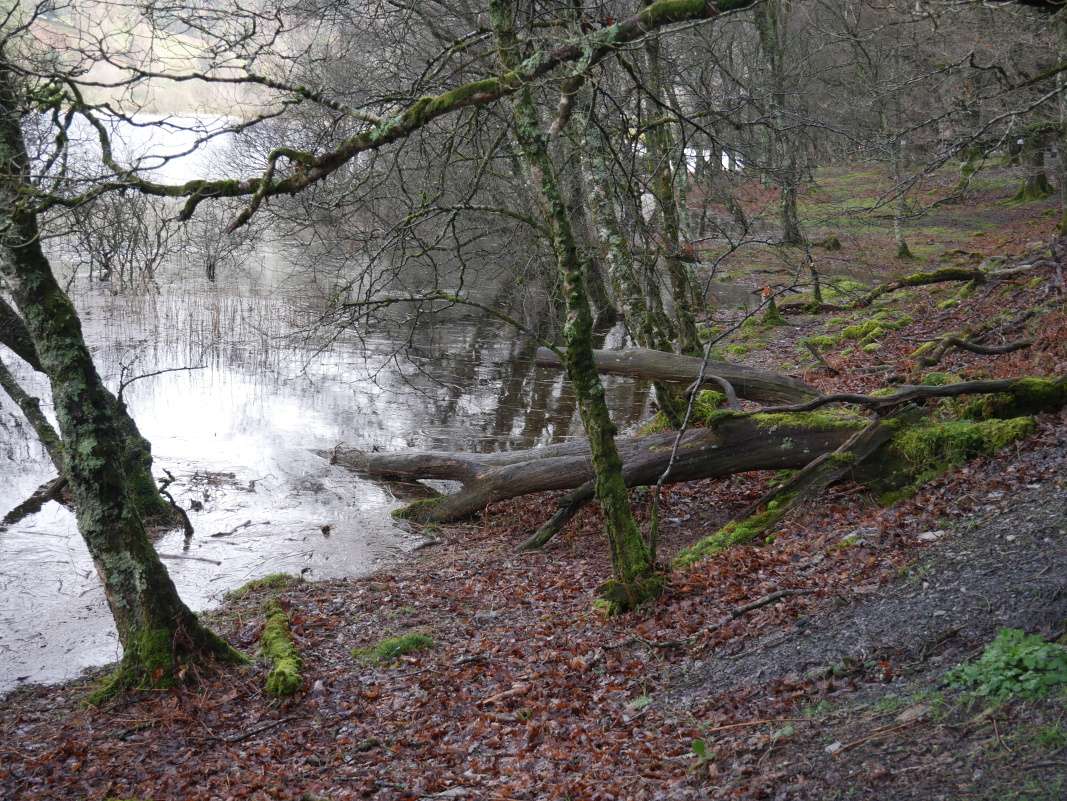 Glendalough - Dolné jazero