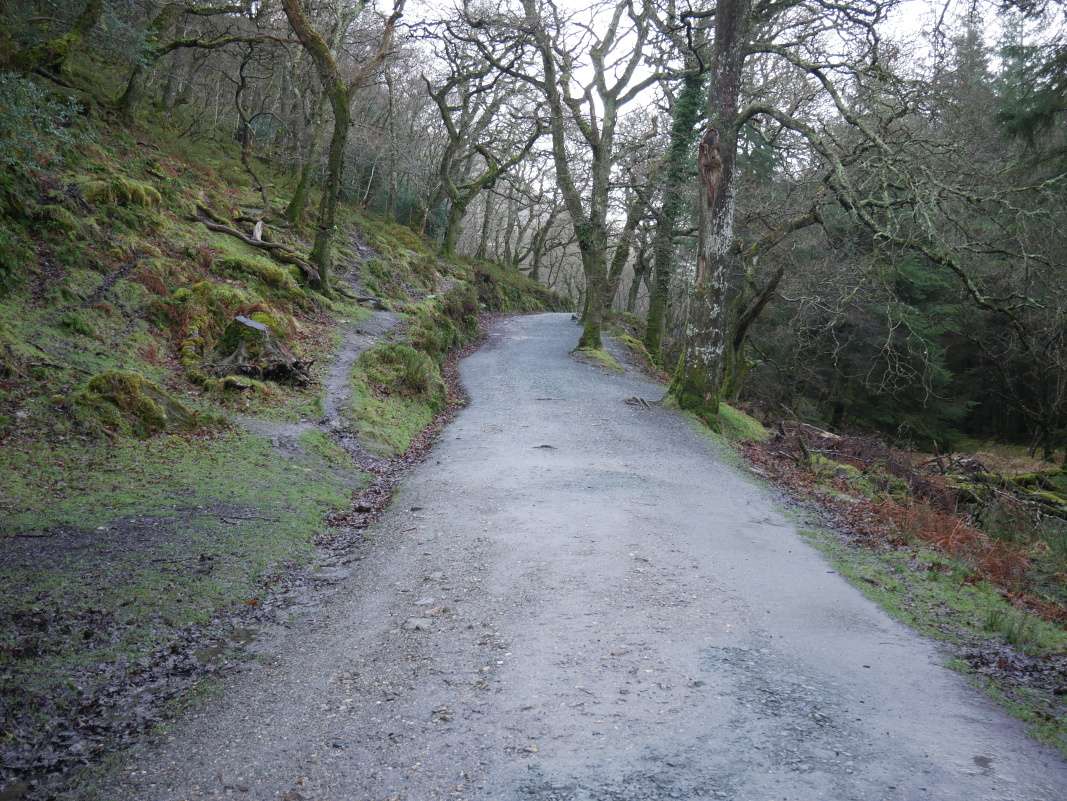 Glendalough - od Dolného k Hornému jazeru