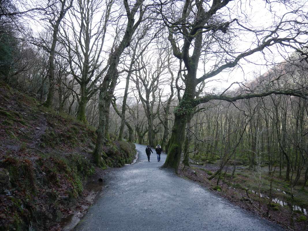Glendalough - od Dolného k Hornému jazeru