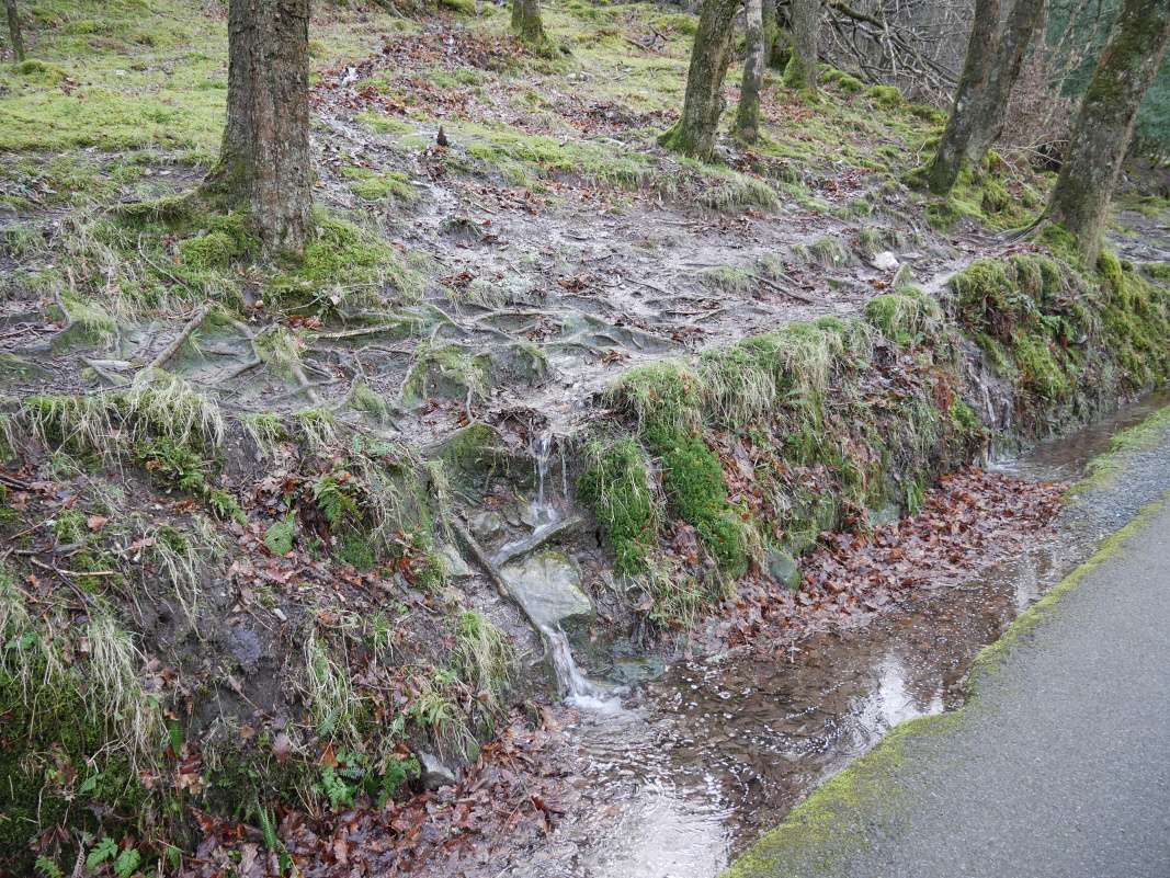Glendalough - z kopcov steká voda v malých vovopádoch