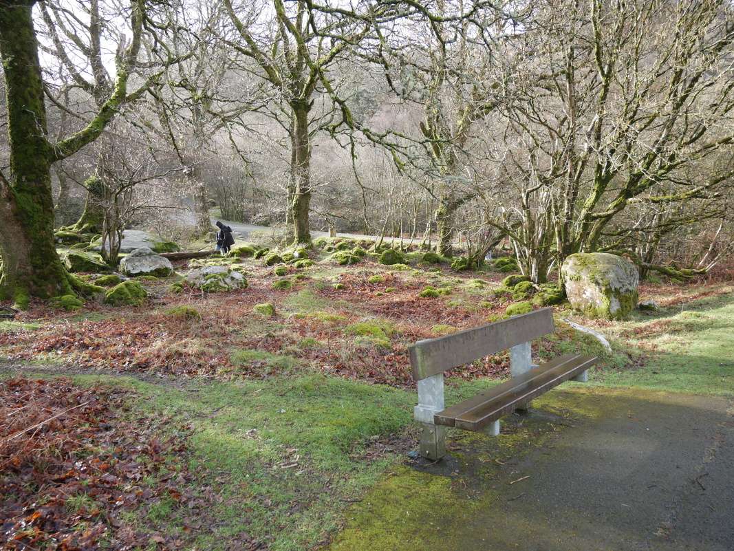 Glendalough - pri Hornom jazere