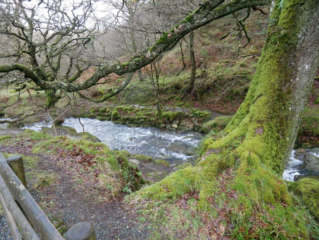 Glendalough - k vodopádu Poulanass