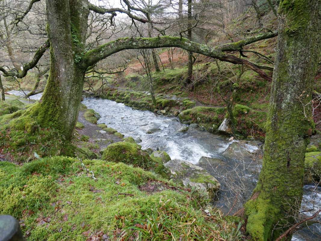 Glendalough - k vodopádu Poulanass