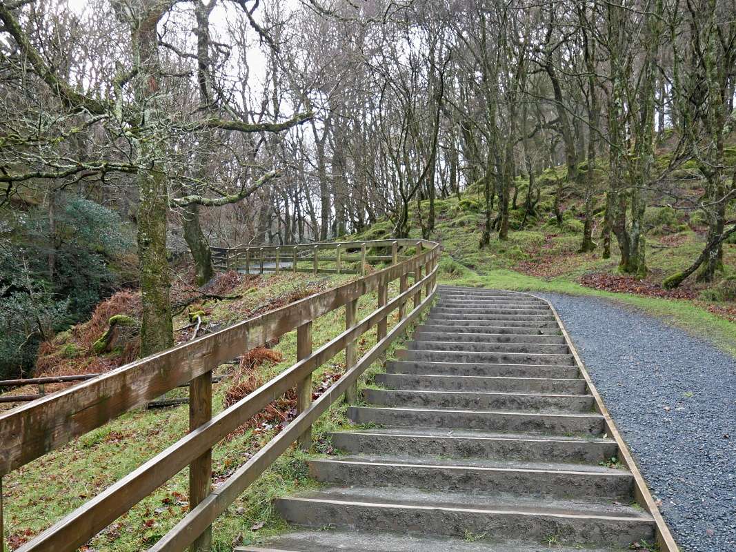 Glendalough - k vodopádu Poulanass