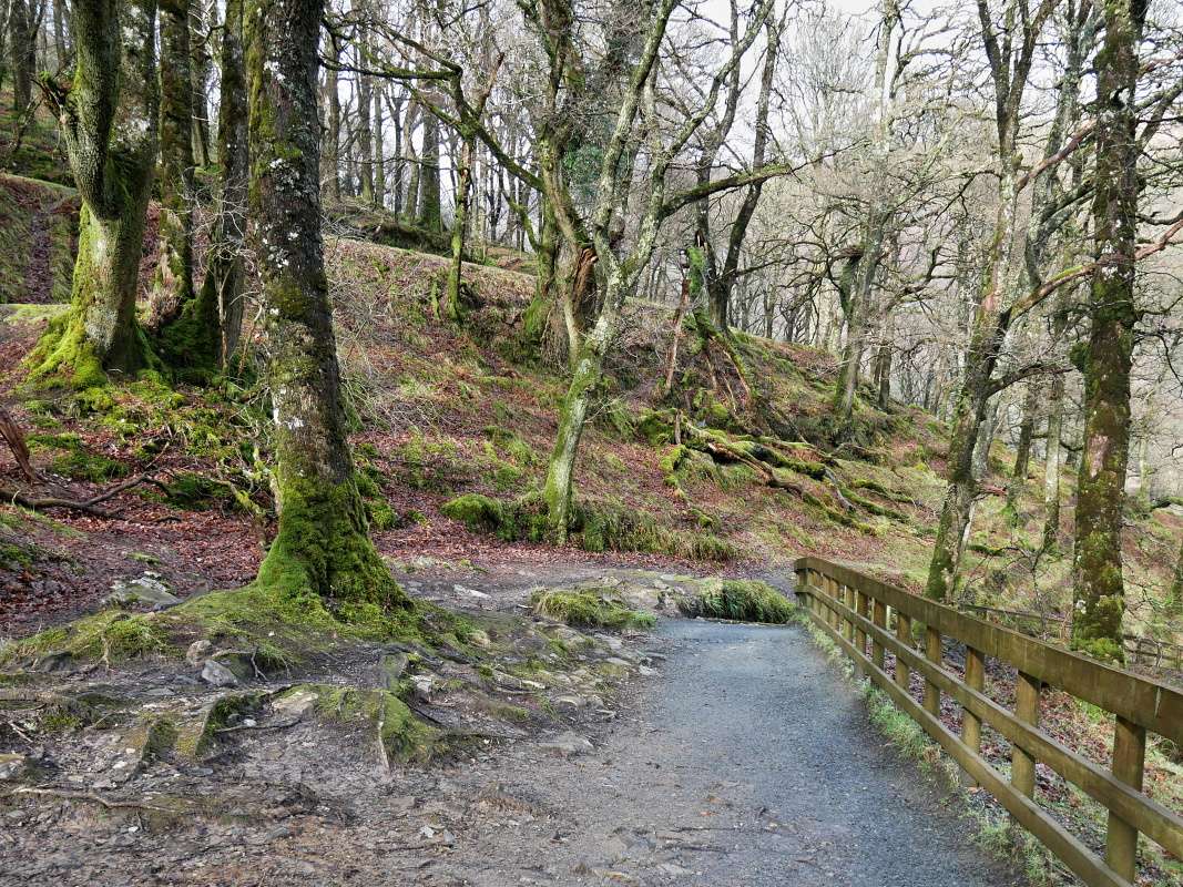 Glendalough - od vodopádu k Hornému jazeru