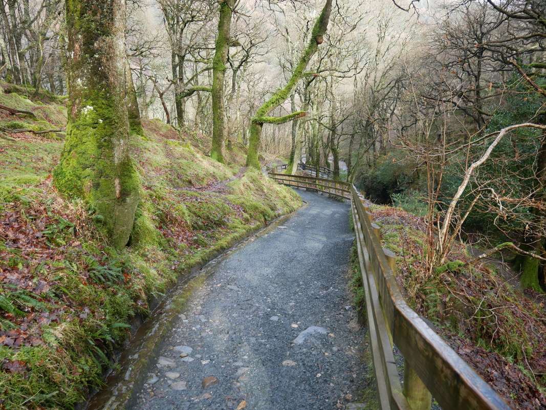 Glendalough - od vodopádu k Hornému jazeru