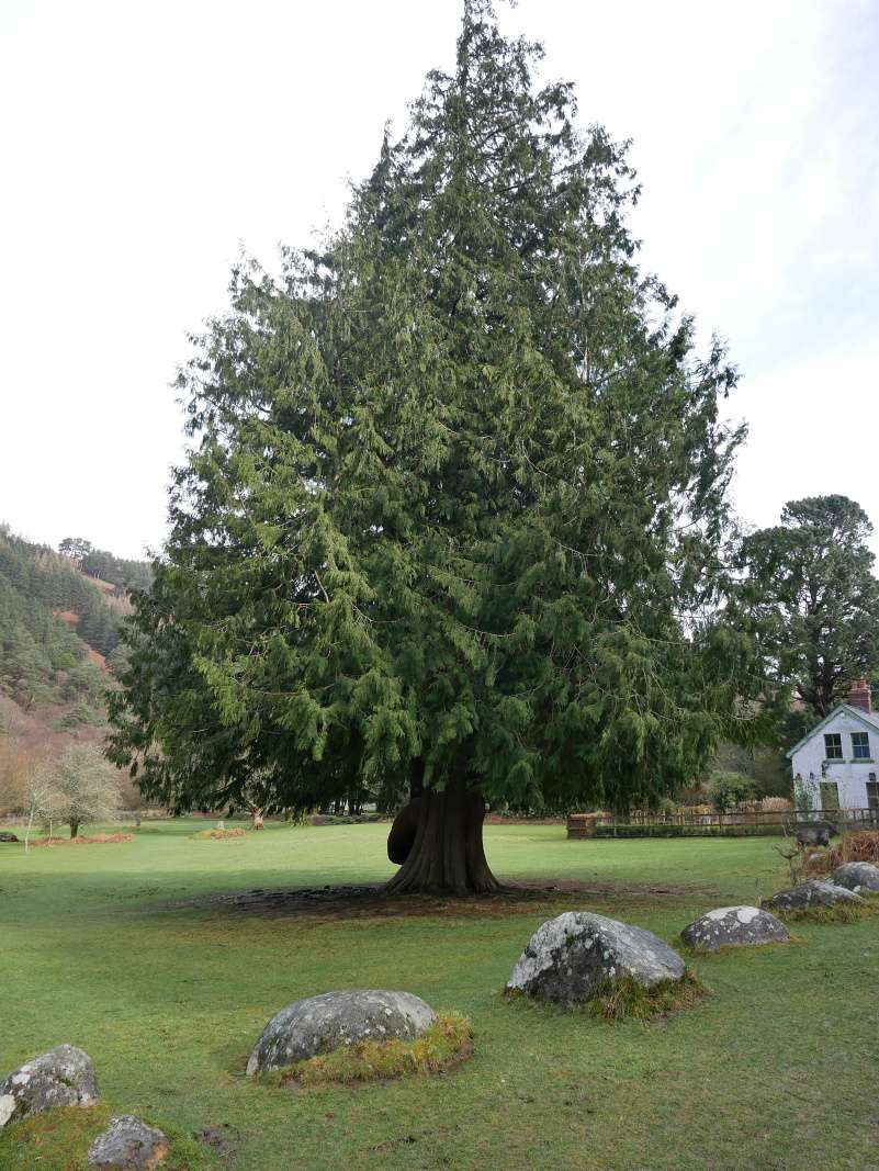 Glendalough - pri Hornom jazere