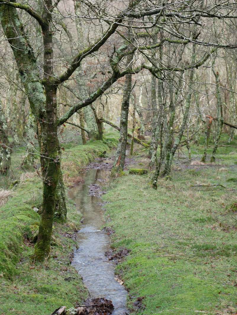Glendalough - od Horného jazera k Dolnému