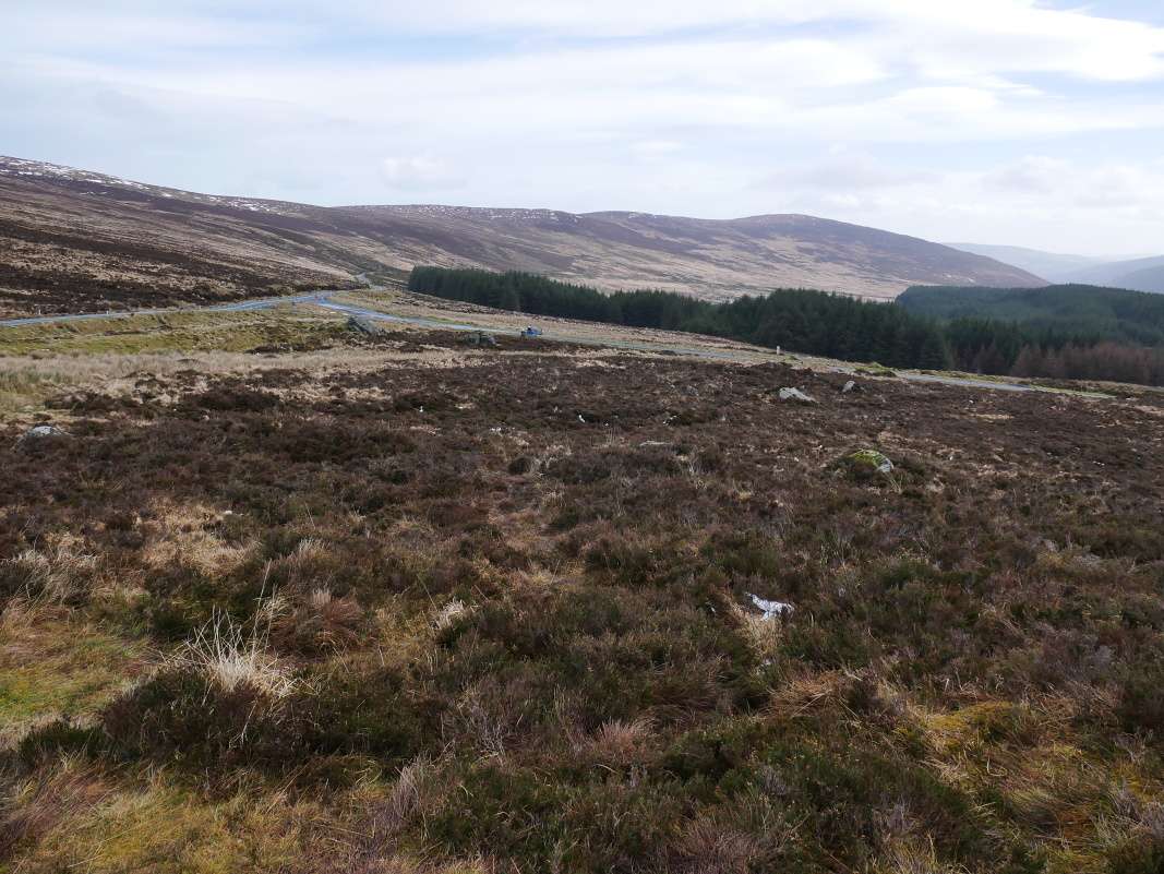 Wicklow - odtiaľ sme prišli