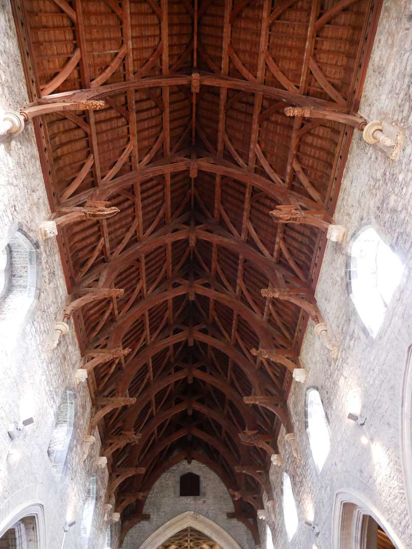 Kilkenny - Katedrála St. Canice, strop