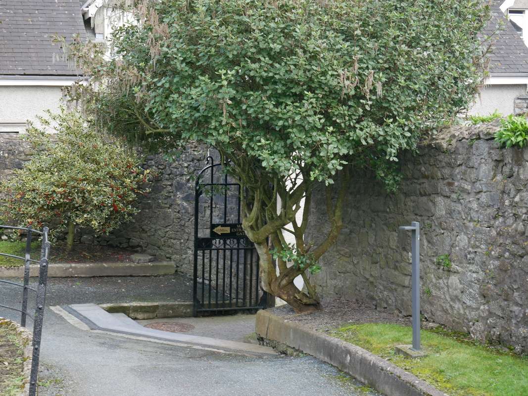 Kilkenny - Katedrála St. Canice, odchádzme