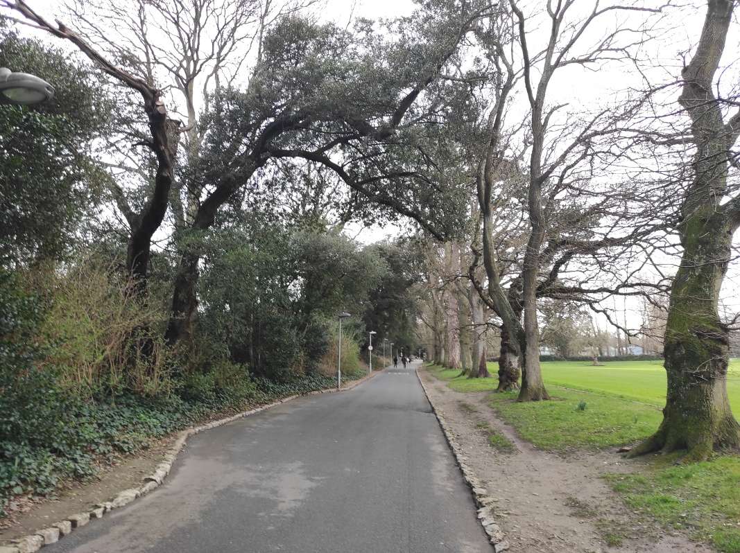 Cesta parkom k zámku