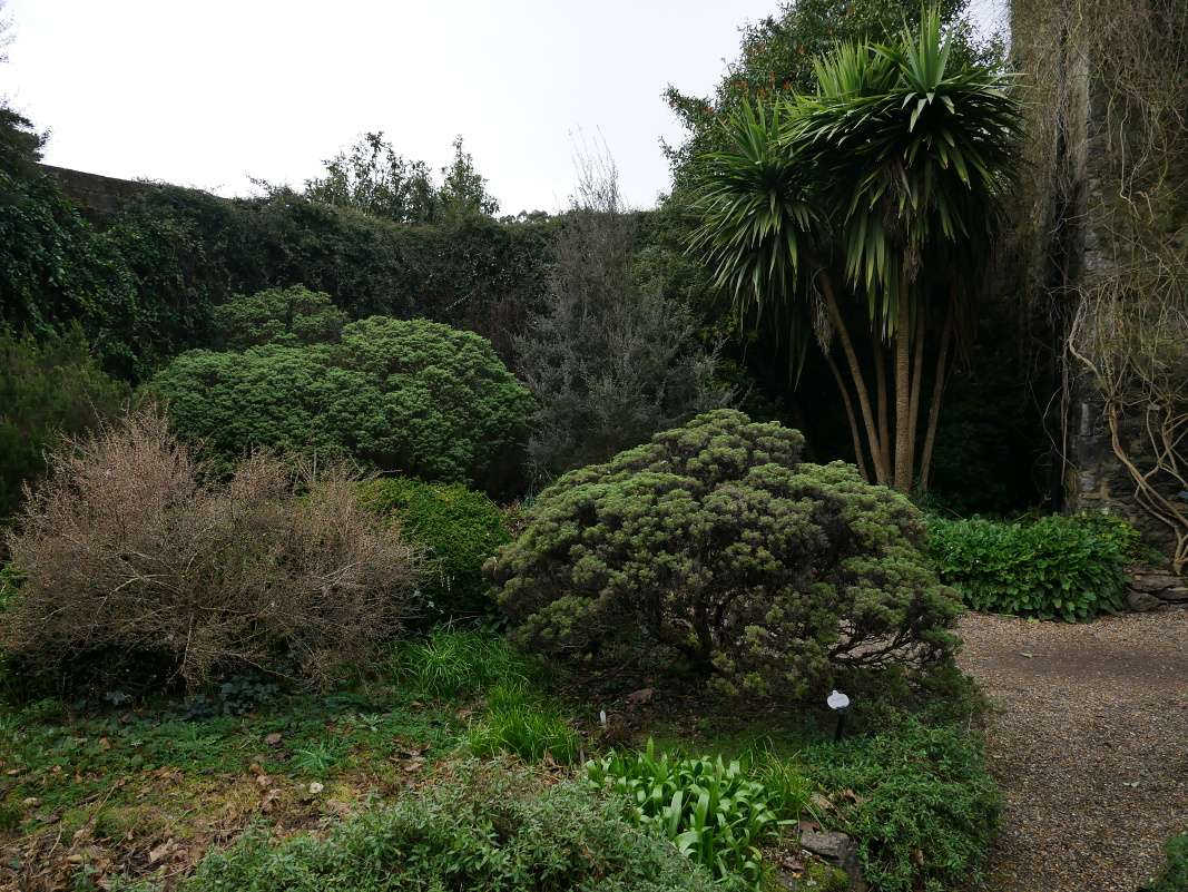 Botanická záhrada Talbot