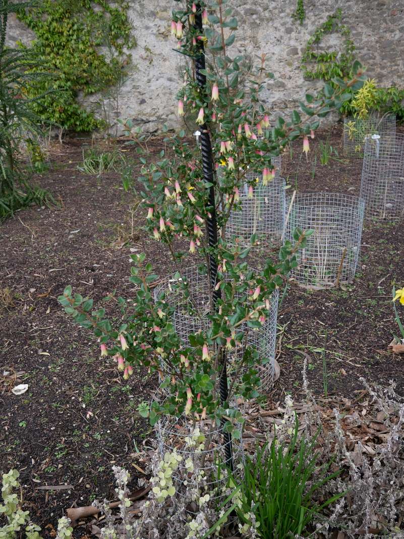 Botanická záhrada Talbot