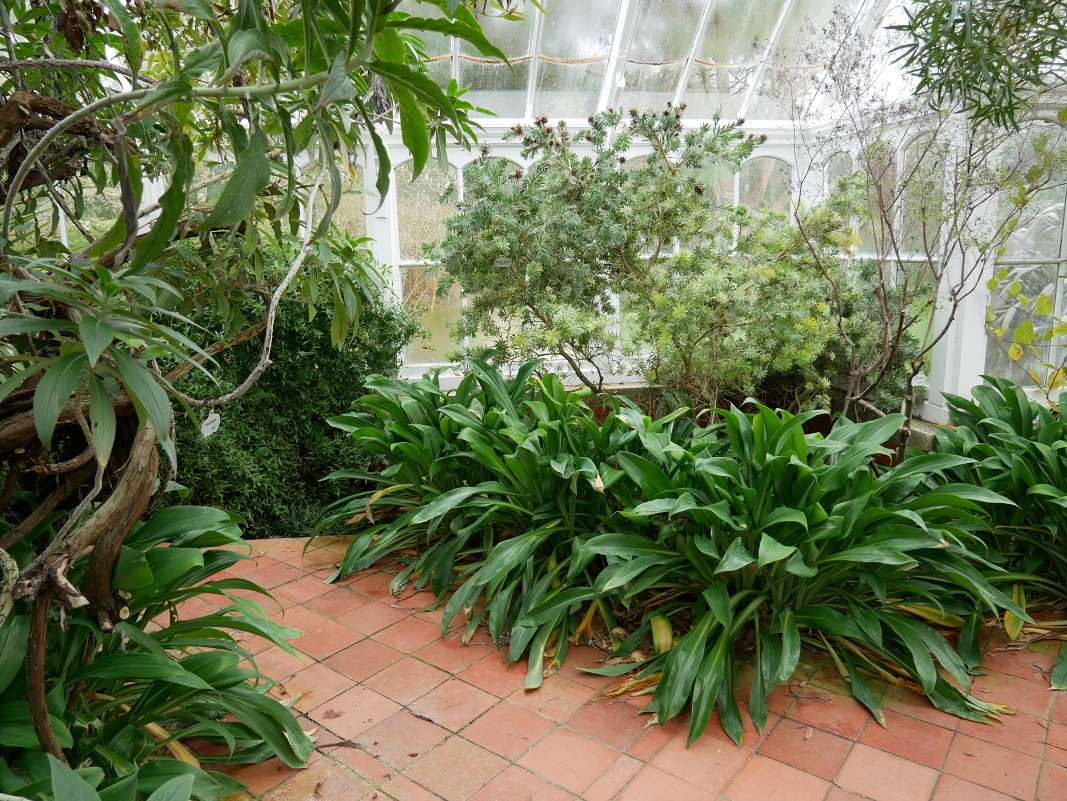Botanická záhrada Talbot