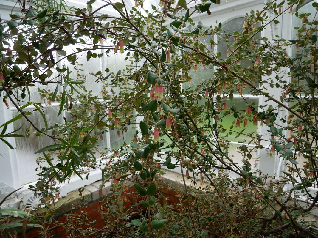 Botanická záhrada Talbot