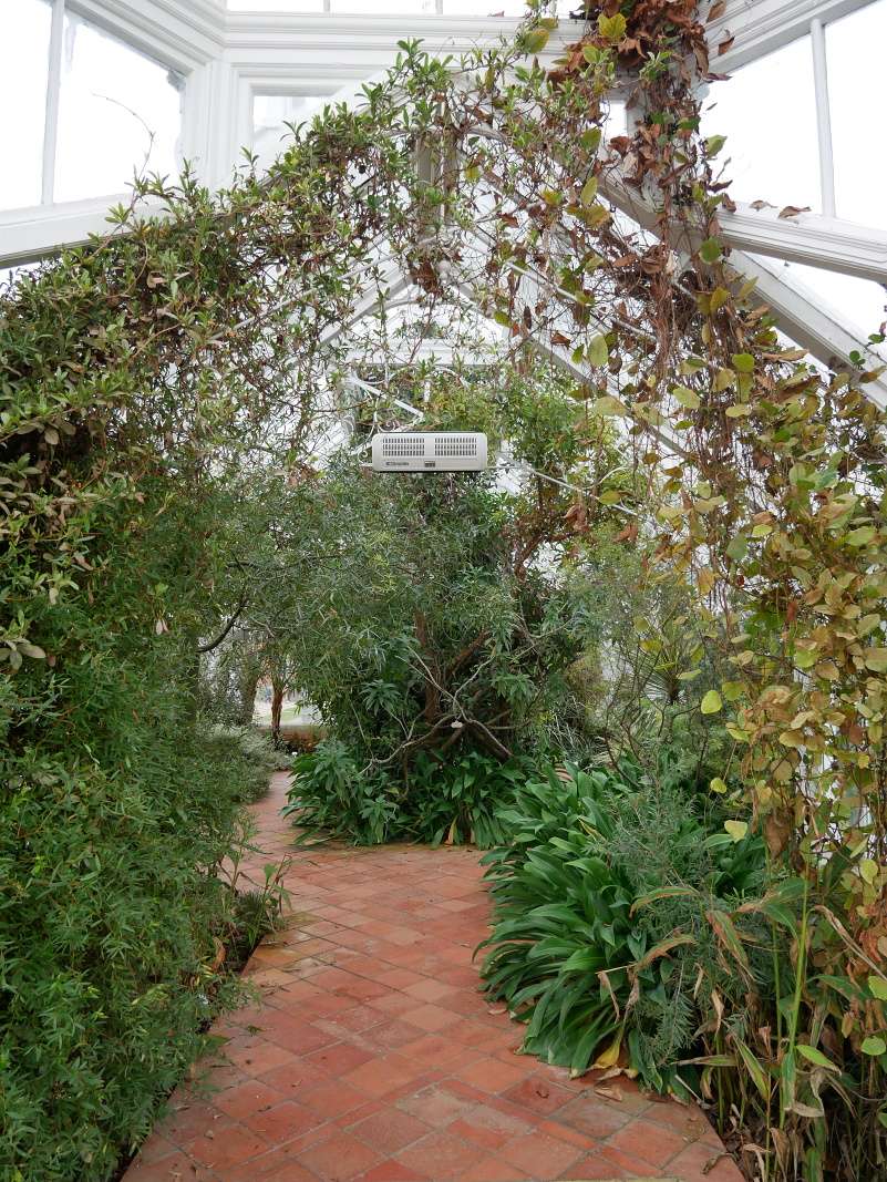 Botanická záhrada Talbot
