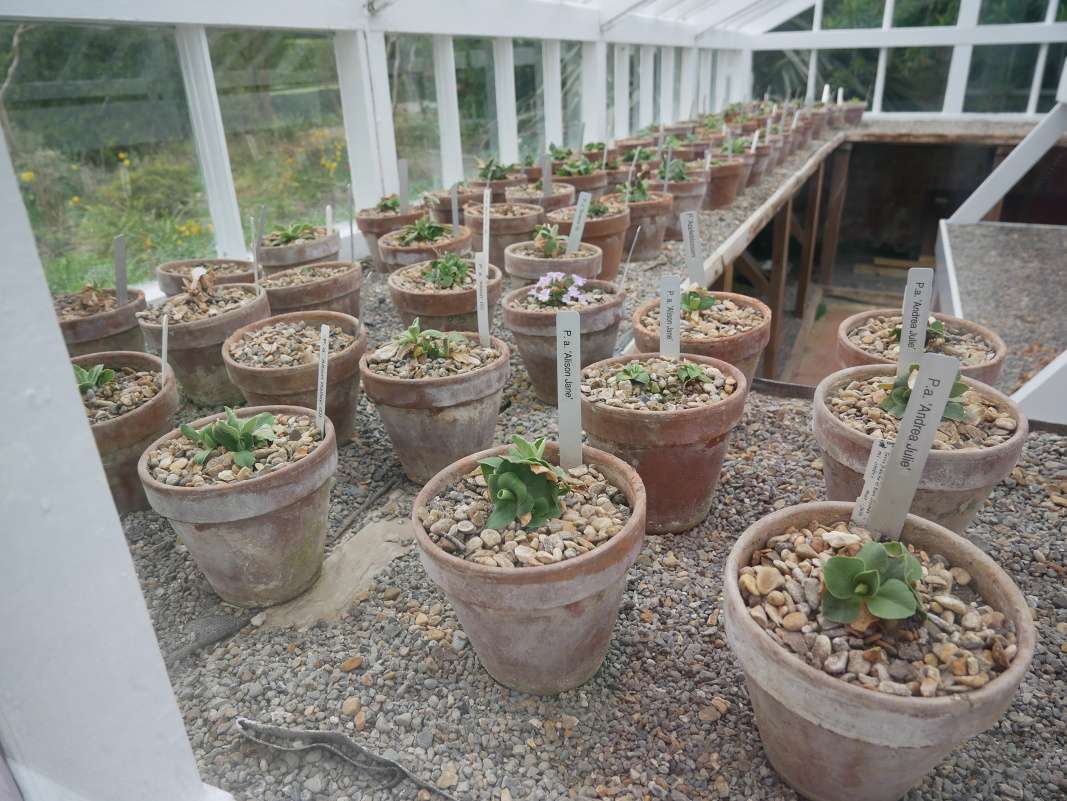 Botanická záhrada Talbot
