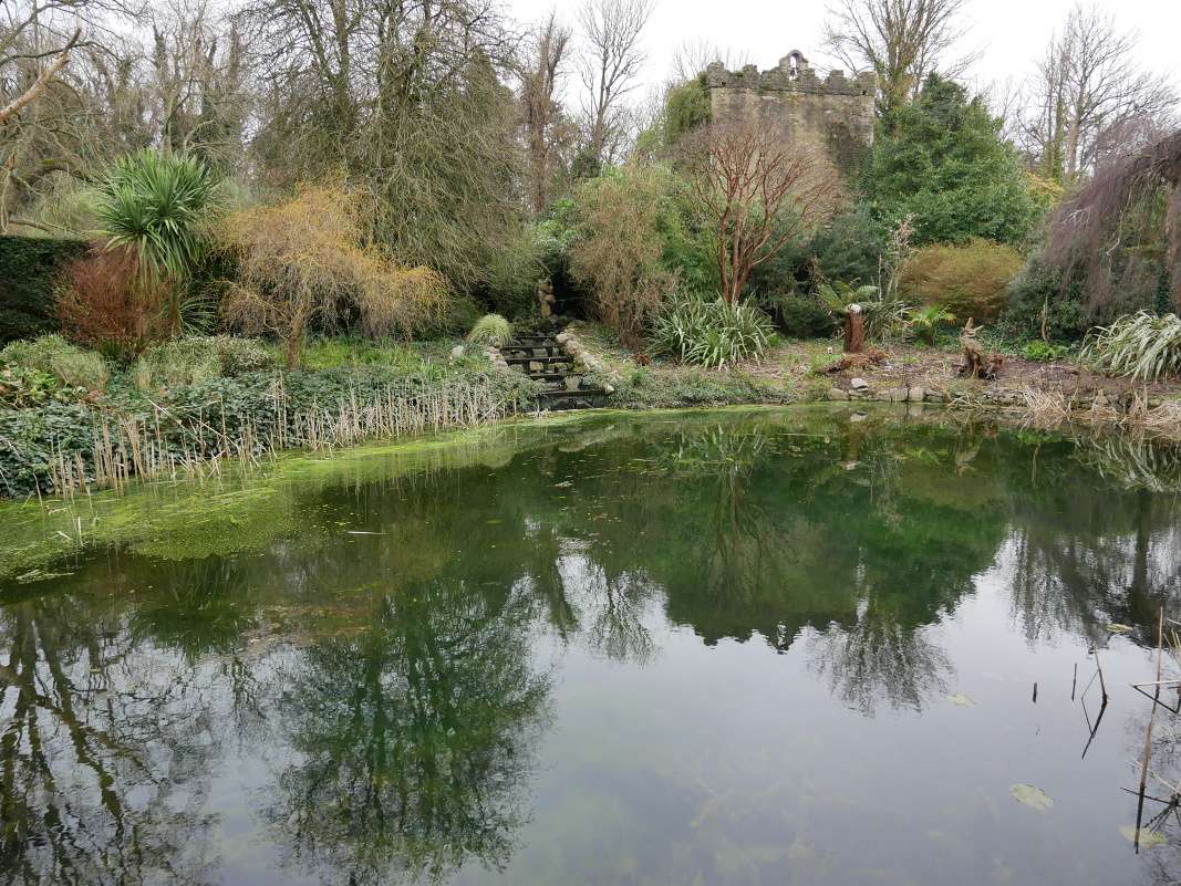 Botanická záhrada Talbot - rozprávkový rybníček