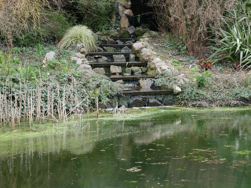 Botanická záhrada Talbot - rozprávkový rybníček