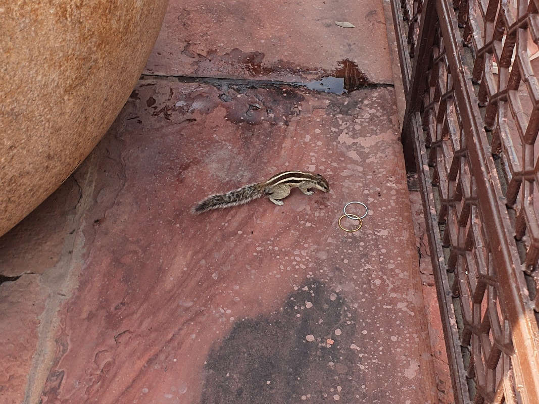 Agra Red Fort