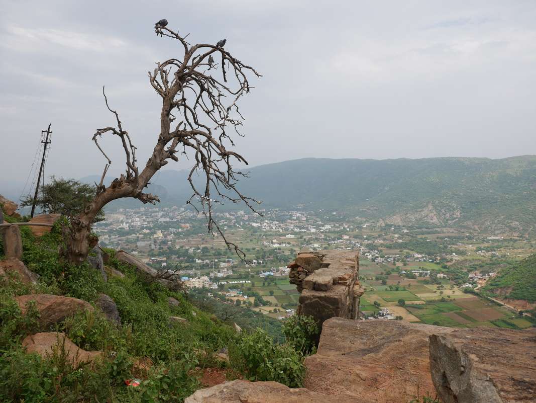 Savitri Mata Mandir - výhľad na východ