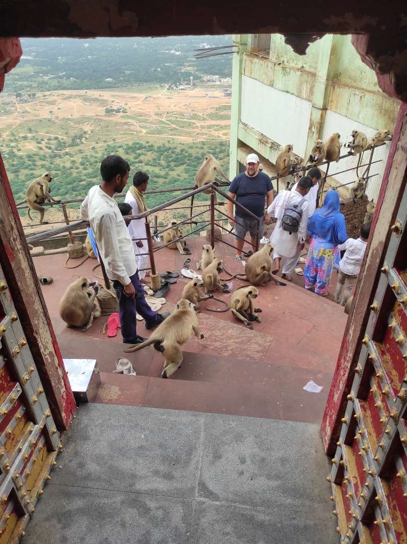 Savitri Mata Mandir - pri východe stále opice :)
