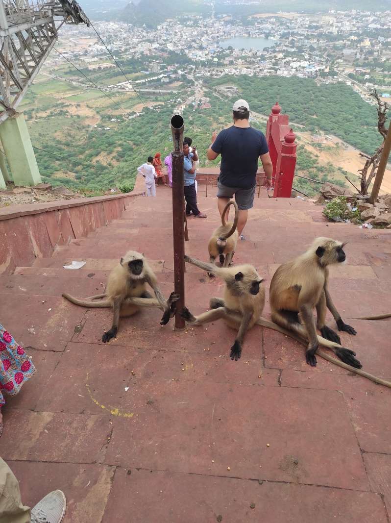 Savitri Mata Mandir - a ideme na schody a dole kopcom ...