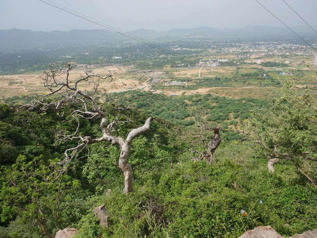 Savitri Mata Mandir - po schodoch dole z kopca