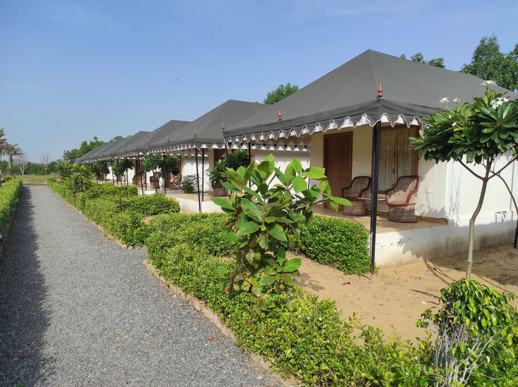 Teerth Camp Pushkar