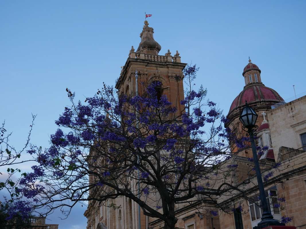 Birgu