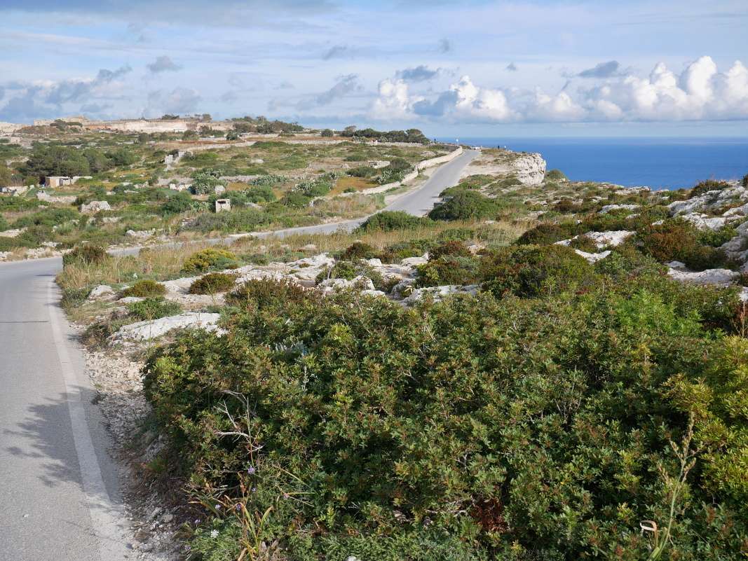 Rabat - Dingli Cliffs, kráčame k vyhliadke