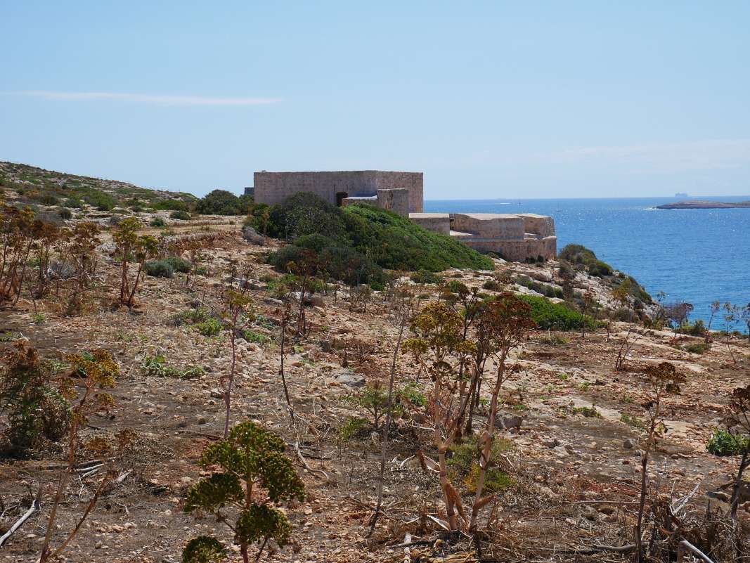 Comino - Batéria Santa Marija