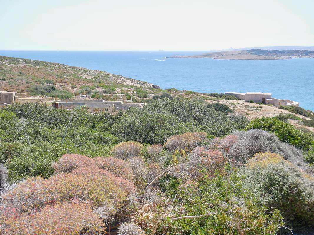 Comino - Batéria Santa Marija, od Starej prasačej farmy